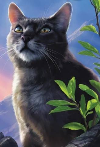 Tu peux t'abonner à ma chaîne Whatsapp s'il te plaiit ! 🙏🏻
https://whatapp.com/channel/0029VbBath10lwgk4c02jB2f/9223372036854675807