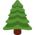 The forest