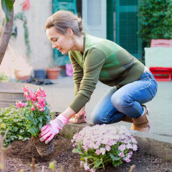 Gardening