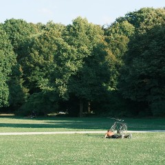 Picnic date