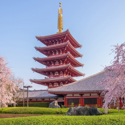 Tokyo