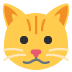 Funny cat/dog videos