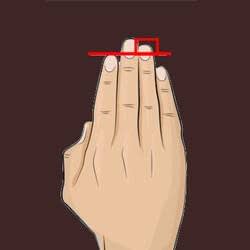 Ringfinger länger