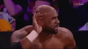 静かに聞いている 🤫