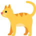 Cute cat