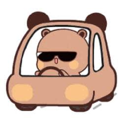 Fahrprofi 🚗