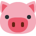 Spam