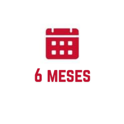 6 meses