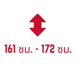 161 ซม. - 172 ซม.