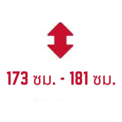 173 ซม. - 181 ซม.