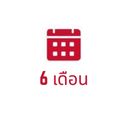6 เดือน