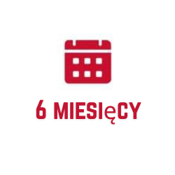6 miesięcy
