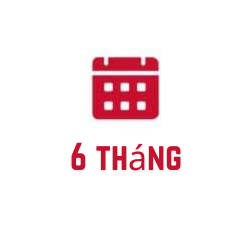 6 tháng
