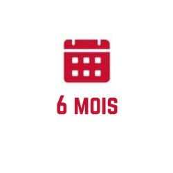 6 mois