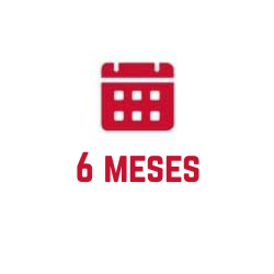 6 meses