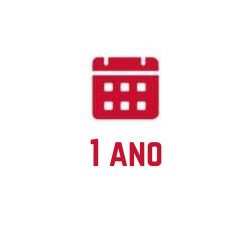 1 ano