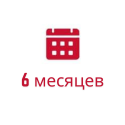 6 месяцев