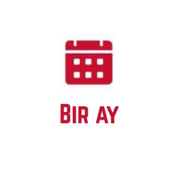 Bir ay