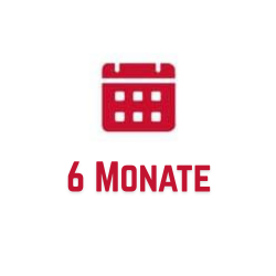 6 Monate