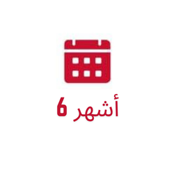 6 أشهر