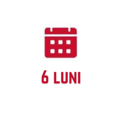 6 luni