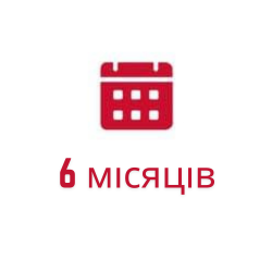 6 місяців