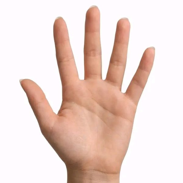 มือ